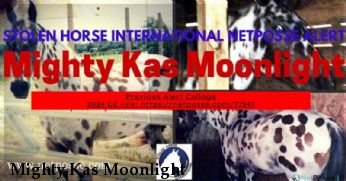 Mighty Kas Moonlight